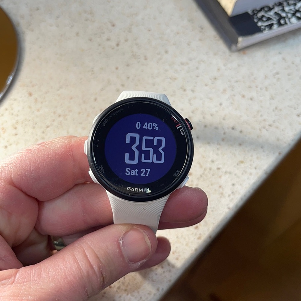 Garmin Forerunner 45S